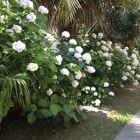Il Giglio D'oro Bed & Breakfast Ravenna